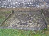 image of grave number 294528